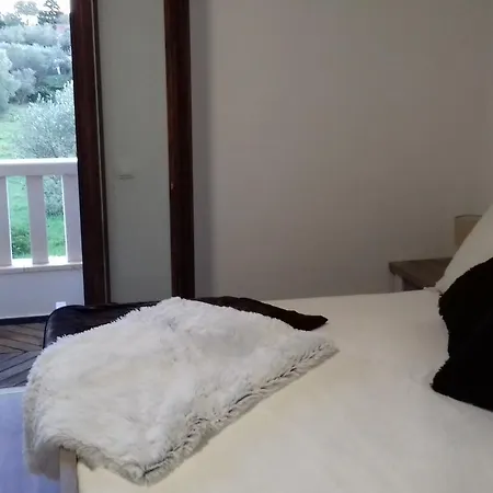 Apartmant *